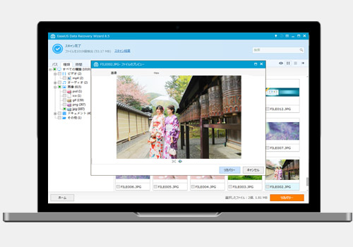 Data Recovery Wizard Free